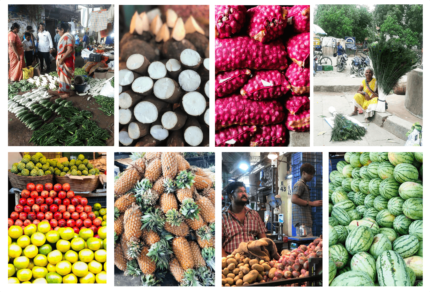 koyambedu market chennai fruits légumes