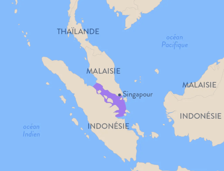 Les détroits de Malacca et Singapour très touchés par la piraterie 