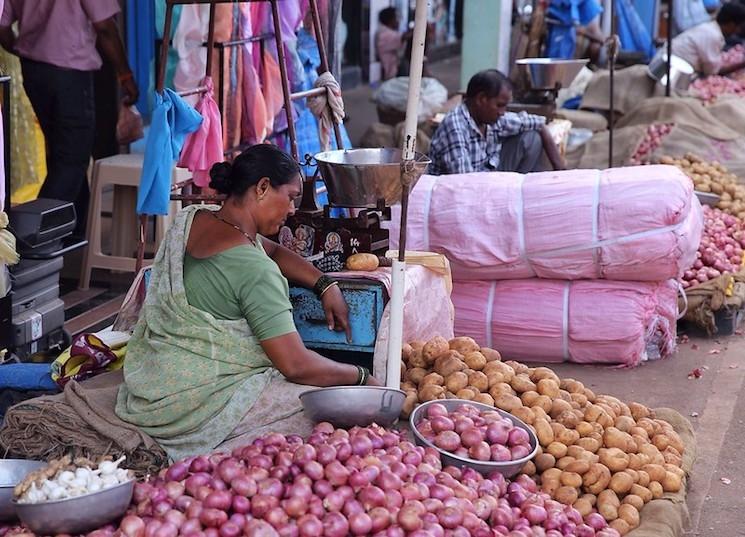 Une marchande d'oignons en Inde