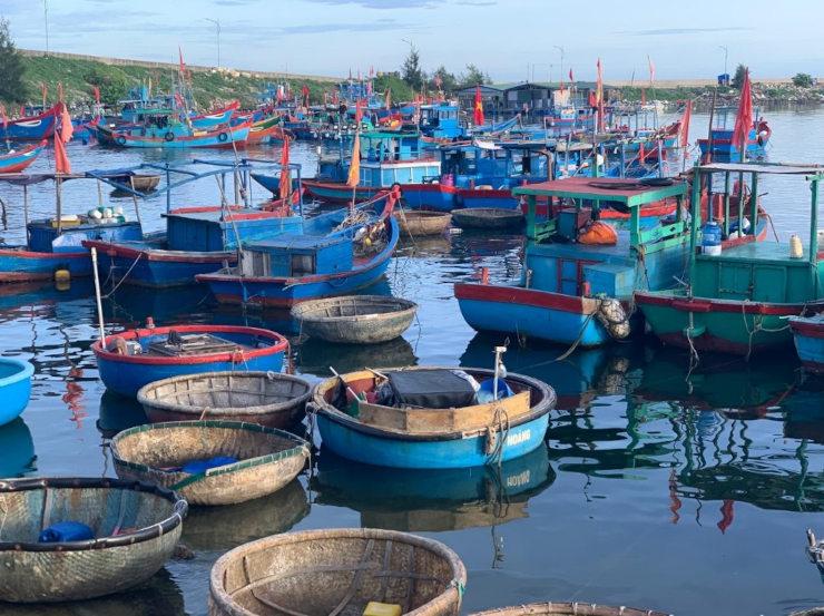 Marche, bateaux et balade le long de la côte