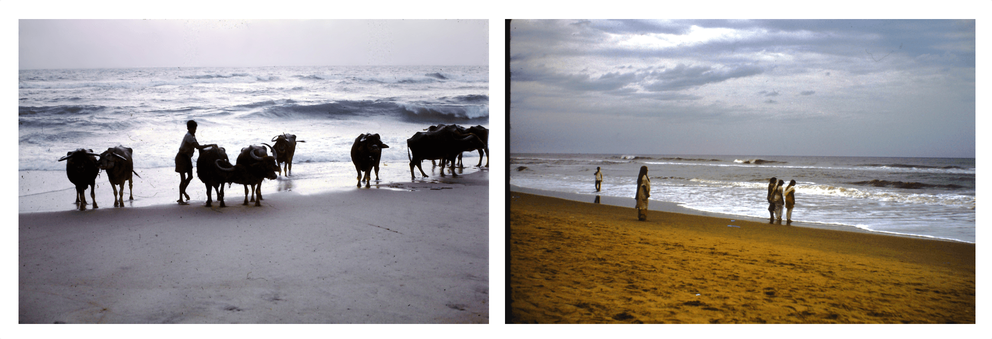 madras chennai india inde marina beach eliott beach 