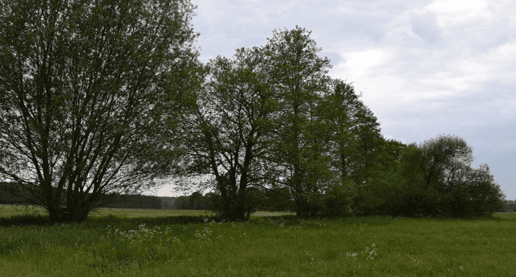 parc de märkische Schweiz