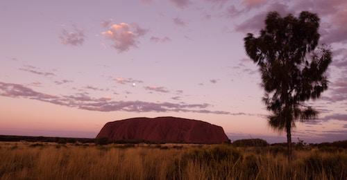 Australie expatriation femmes