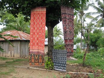 sumba sauvage tradition