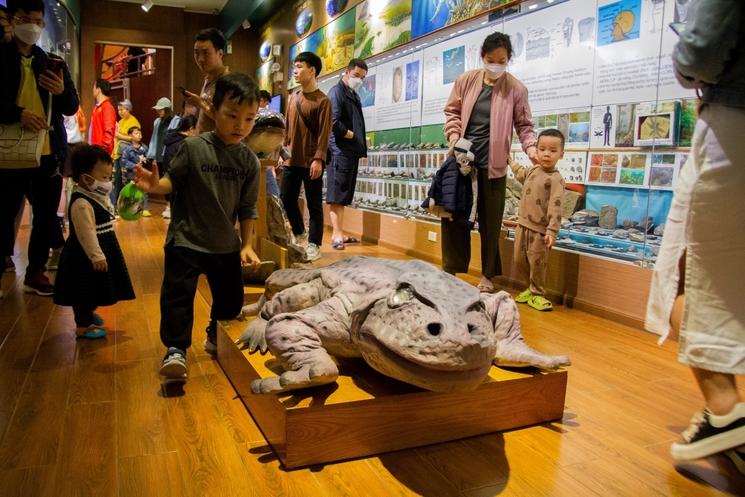 des enfants au musée d'histoire naturelle de hanoi 