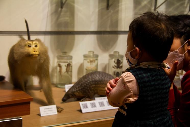 des enfants au musée d'histoire naturelle de hanoi 