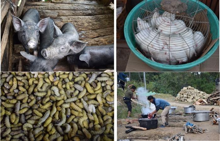 Les produits du marché de Kohima dans le Nagaland