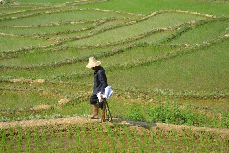 perte terres agriculteurs Cambodgiens