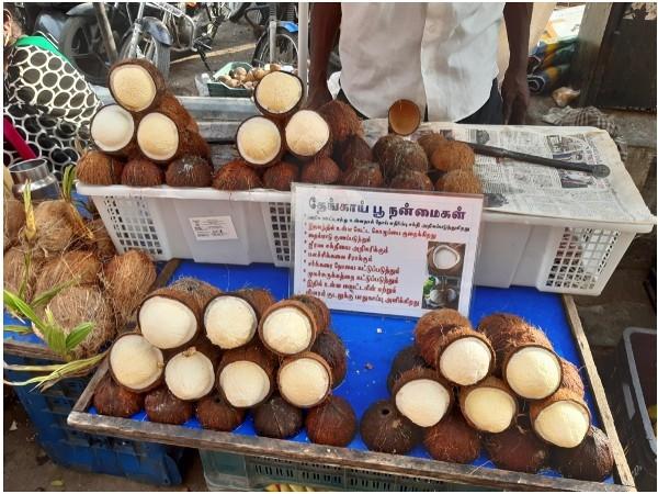 fleurs de coco sur un stand à Chennai