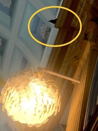 Le corbeau dans l'église Notre Dame des Anges de Pondichéry