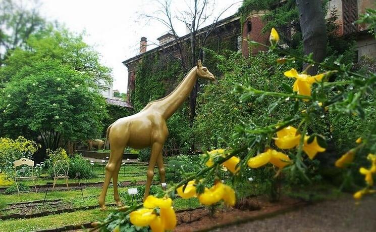 une girafe dans l'e jardin botanique de milan