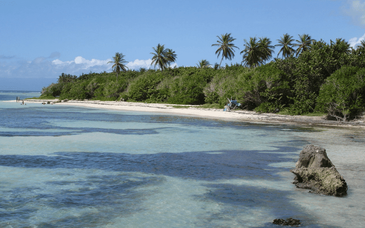 La plage du Bois Jolan en Guadeloupe 