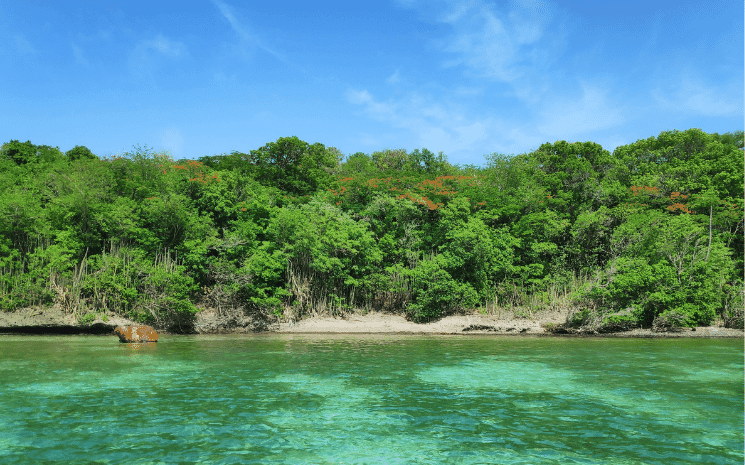 La baignoire de Joséphine en Martinique 