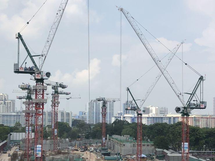 La grue est l'oiseau national de Singapour.