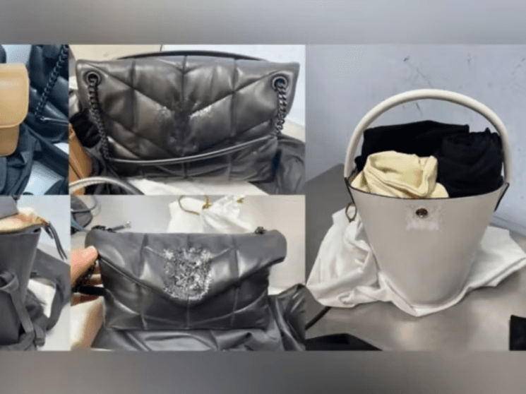 Changi airport customs goods seized