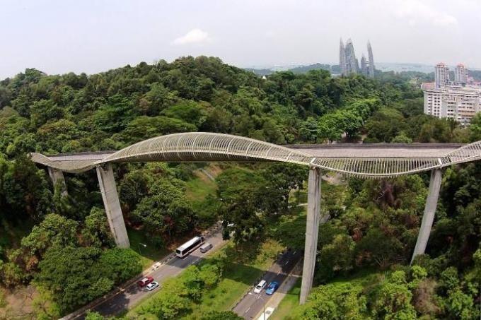 Henderson waves est un pont artistique enjambant Henderson road.