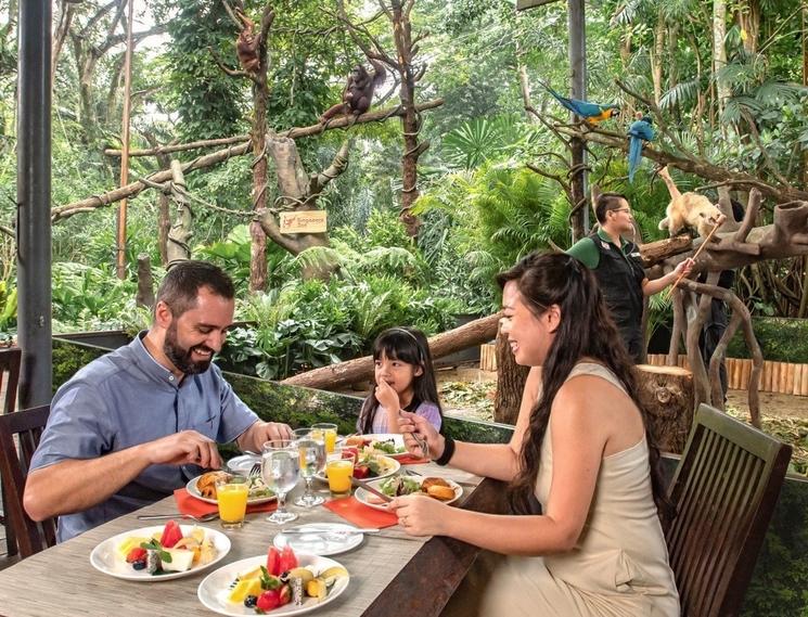 Singapore zoo breakfast in the wild