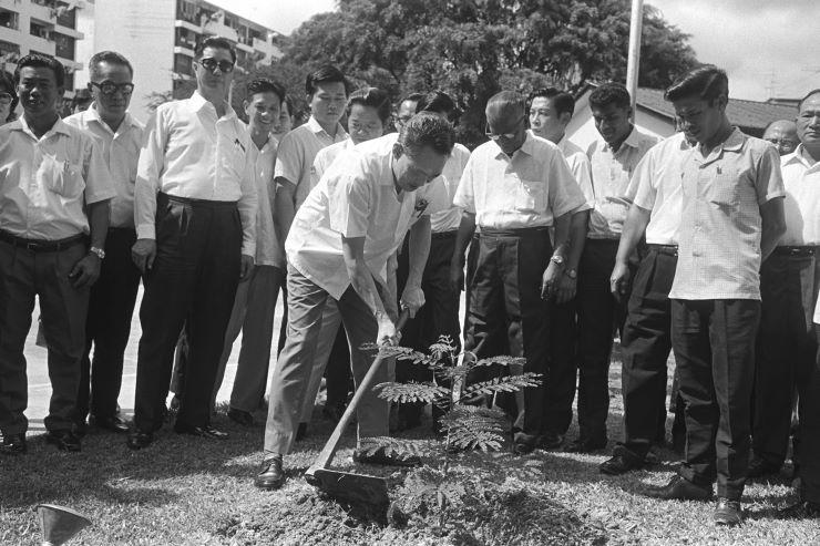 Lee Kuan Yew planting tree Tanjong Pagar 1971