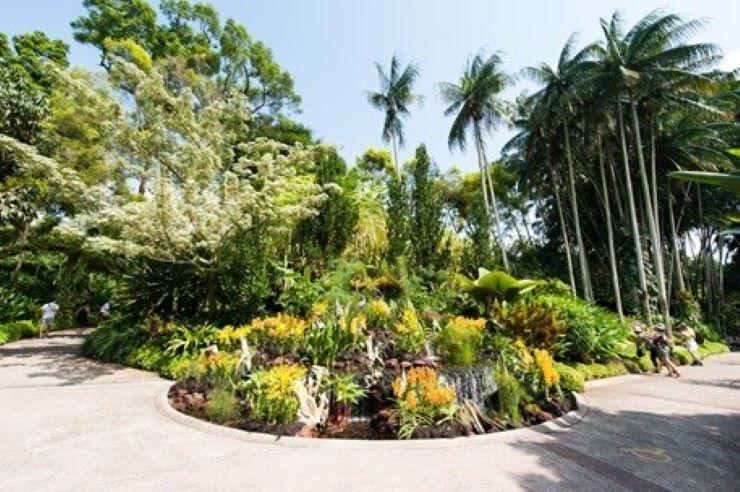 Le jardin des orchidées est une enclave du jardin botanique.