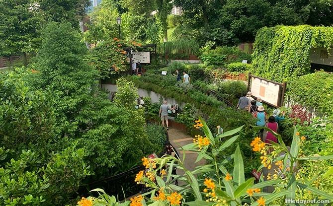 Le jardin des épices de Fort Canning est une reminiscence du premier jardin botanique de Singapour.