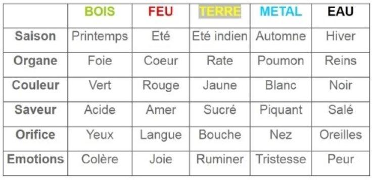 Le Wuxing associe chaque element avec un organe en accord avec sa fonction principale.