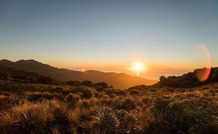 paparoa track