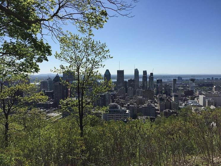 parc mont royal