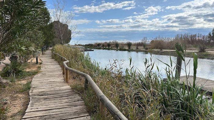 Un chemin dans l'espace naturel au bord du lac de l'Albufera 