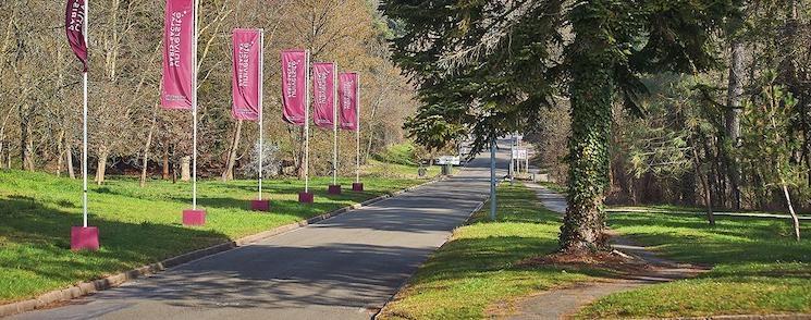 L'université Paris-Saclay, 13e au monde et 1ère en France