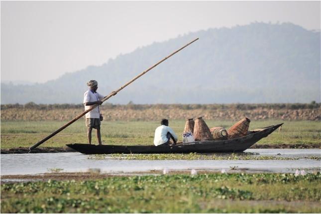 Pècheurs du lac chilika en Inde