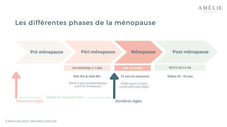 Les différentes phases de la ménopause