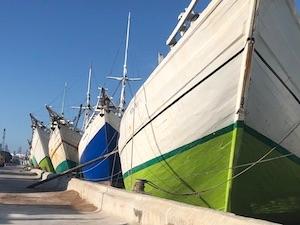 phinisi bateau sunda kelapa