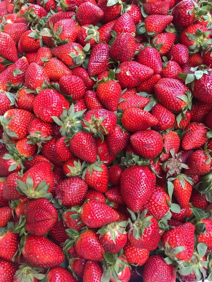 strawberry picking 