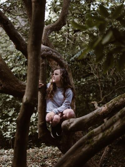 école nature forêt 