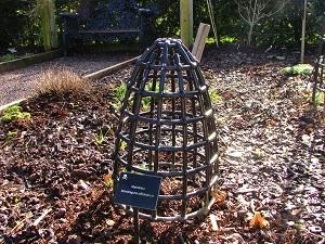 jardin des poisons du Blarney Castle