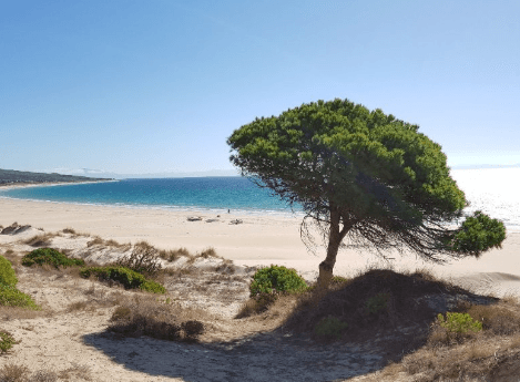 playa bolonia