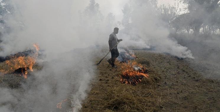 FEU farmers india inde smog pollution