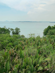 Pulau Ubin, Singapour