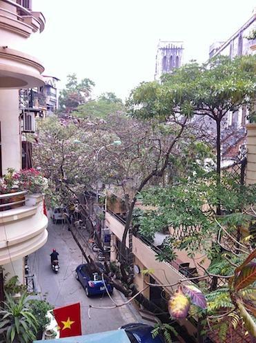 Quartier de la cathédrale St Joseph à Hanoi