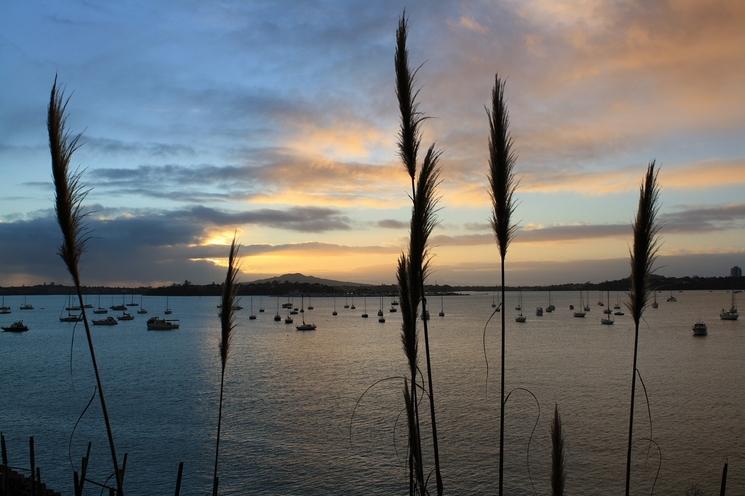 Rangitoto 