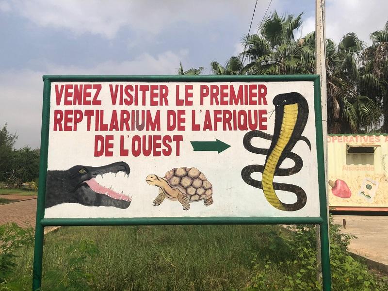 reptilarium hann dakar serpents