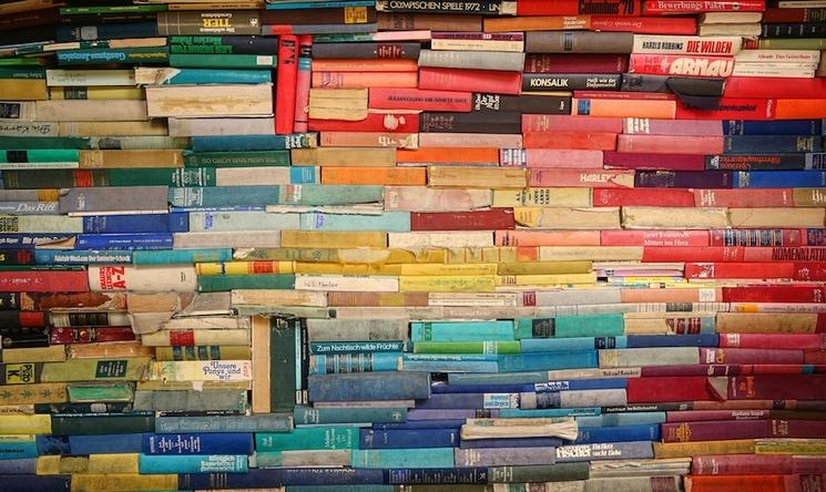 la beauté de la diversité des livres en français 