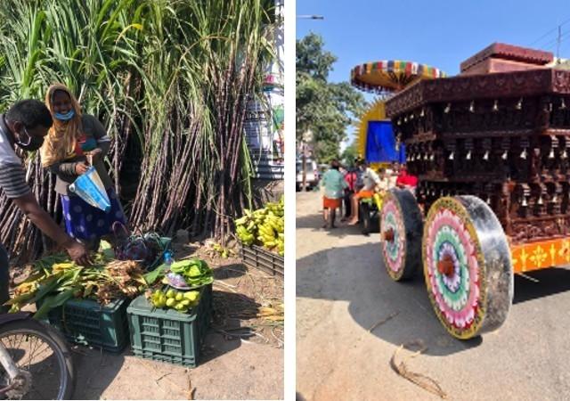 Vente de cannes à sucre sur la route en Inde