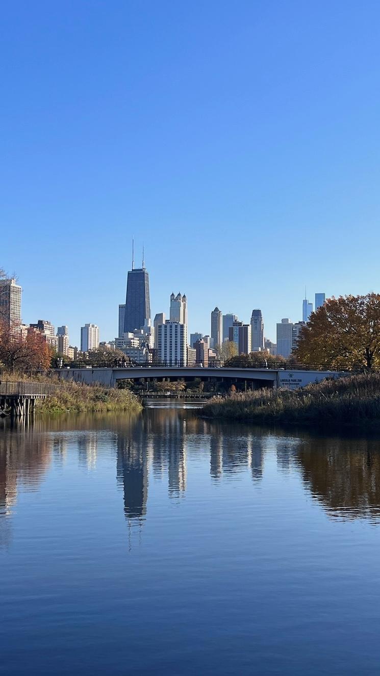 La skyline de Chicago depuis le Lincoln Park Zoo