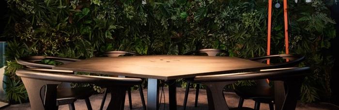 table en bois avec mur végétal