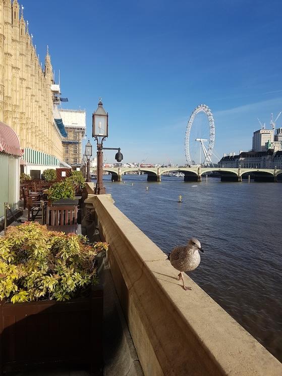 Les bords de la Tamise à Londres chers à Véronique