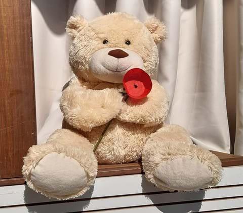 teddy bear coquelicot