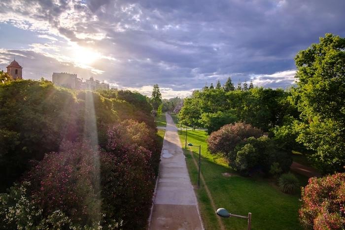 jardin du turia à valencia