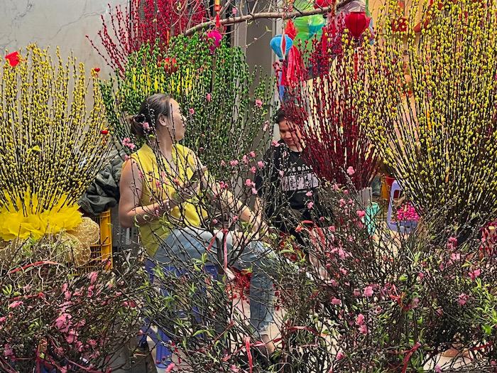 les branches et les fleurs au Vietnam 