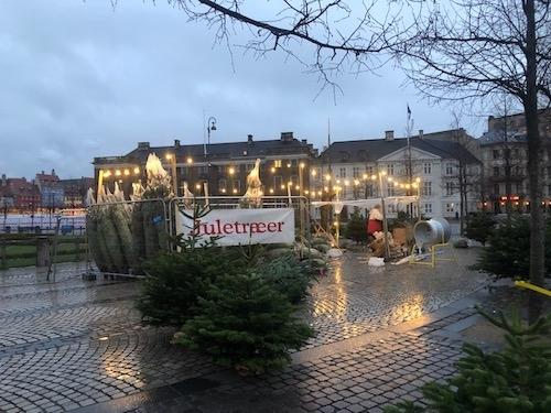 vente de sapins de Noël à Copenhague 